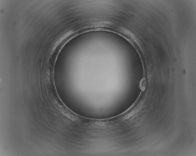 X0000073870827200608171005