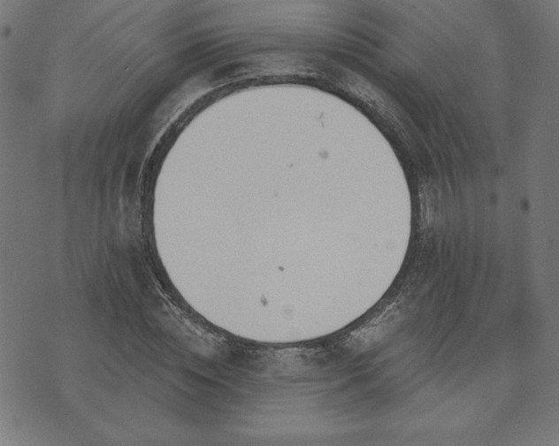 X0000073870828200608171005