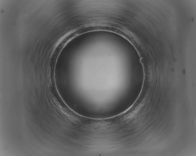 X0000073870830200608171005