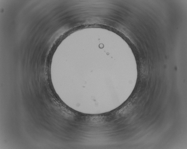 X0000073870832200608171005