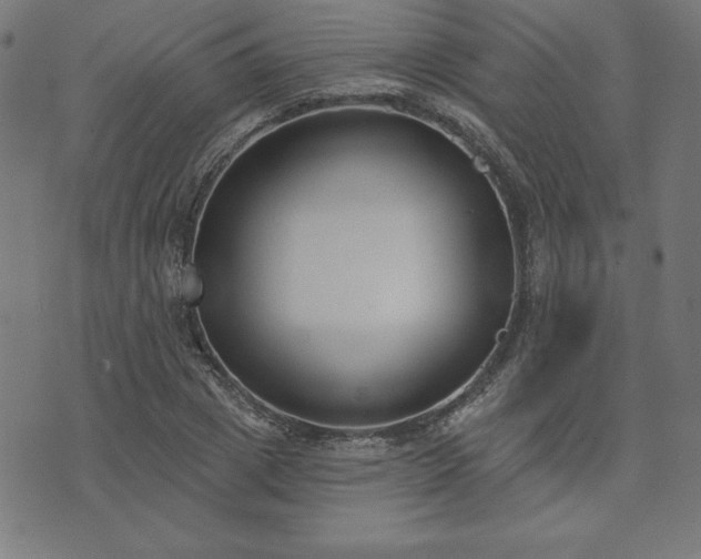 X0000073870833200608171005