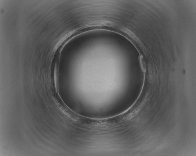 X0000073870834200608171005