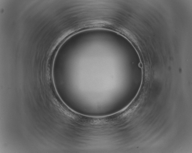 X0000073870835200608171005