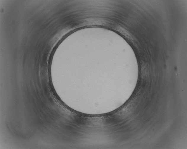 X0000073870836200608171005