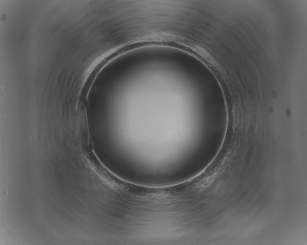 X0000073870838200608171005