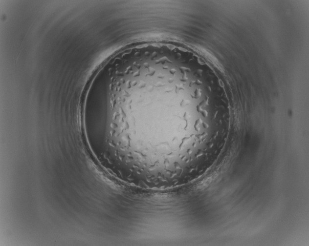 X0000073870839200608171005