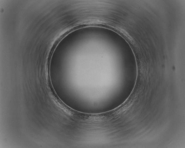 X0000073870840200608171005