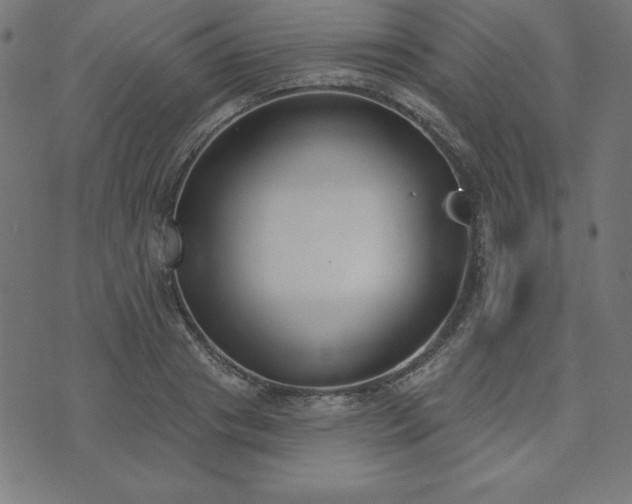 X0000073870841200608171005