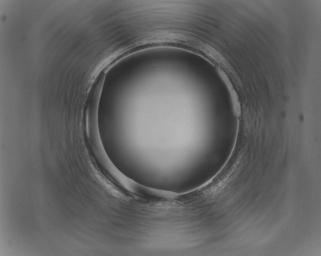 X0000073870842200608171005