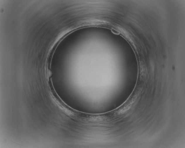 X0000073870843200608171005