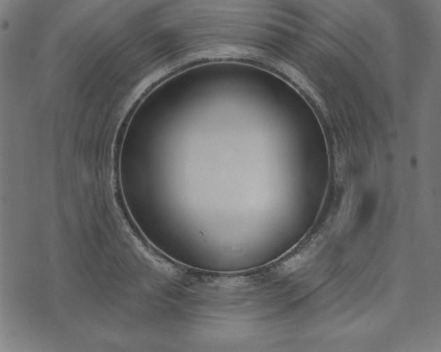 X0000073870845200608171005