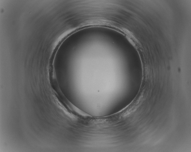 X0000073870846200608171005