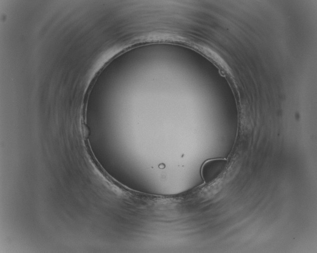 X0000073870847200608171005