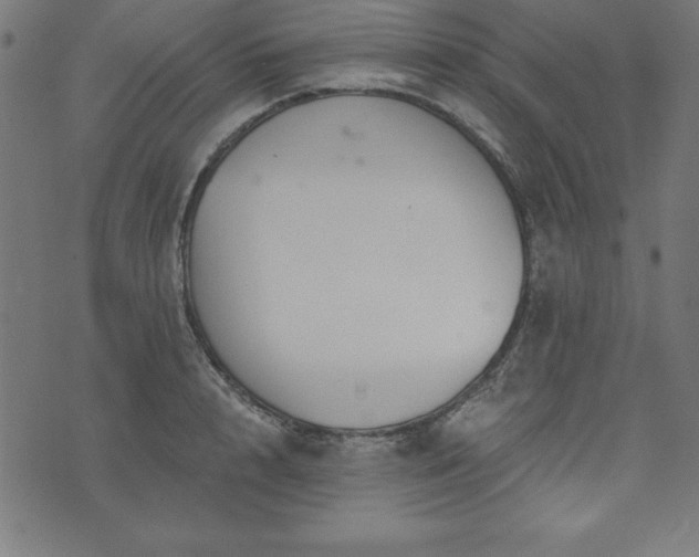 X0000073870848200608171005