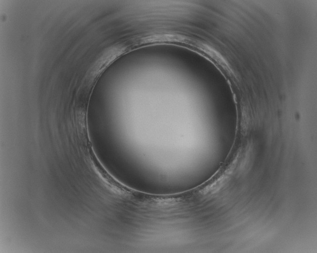 X0000073870849200608171005