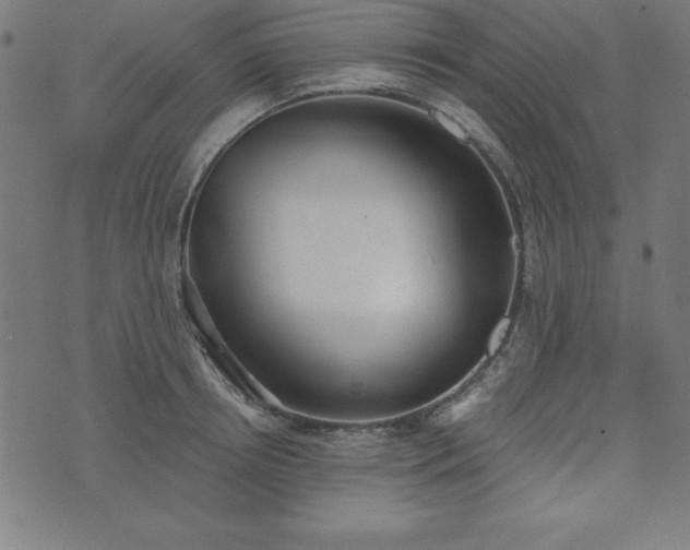 X0000073870850200608171005