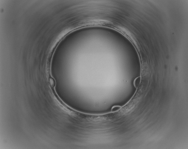 X0000073870851200608171005