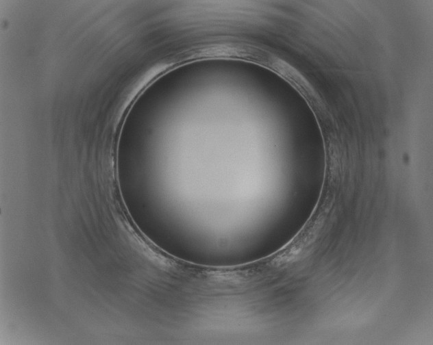 X0000073870852200608171005