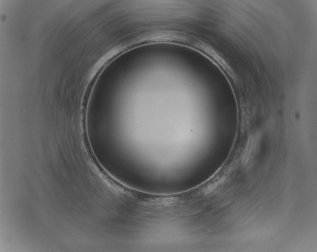 X0000073870853200608171005