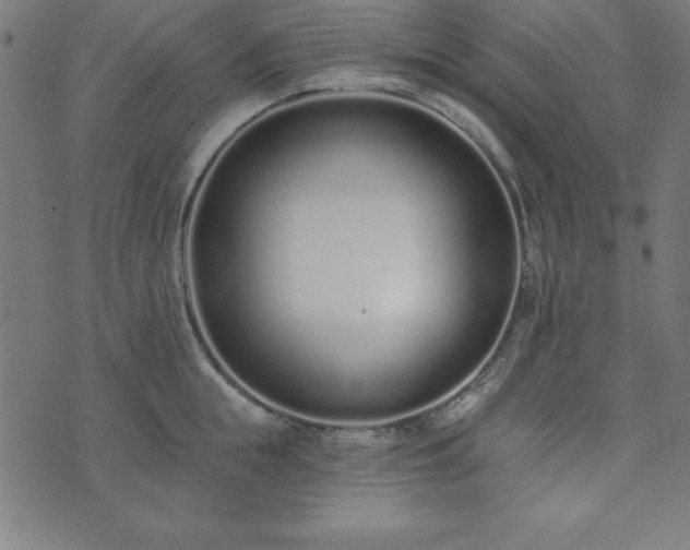 X0000073870855200608171005