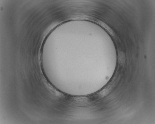 X0000073870856200608171006