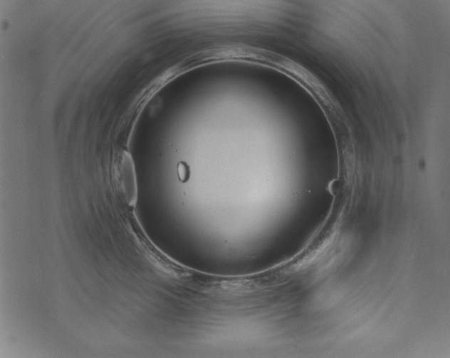 X0000073870857200608171006