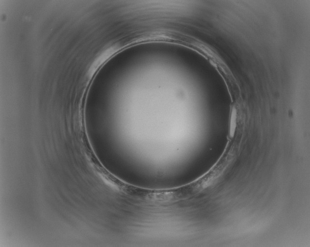 X0000073870858200608171006