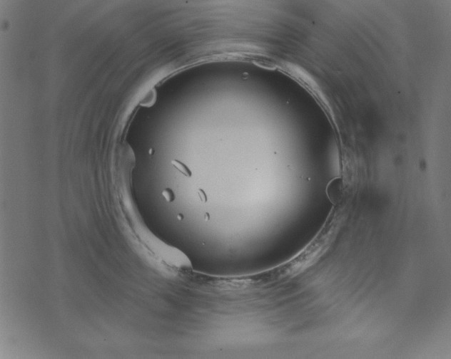 X0000073870859200608171006