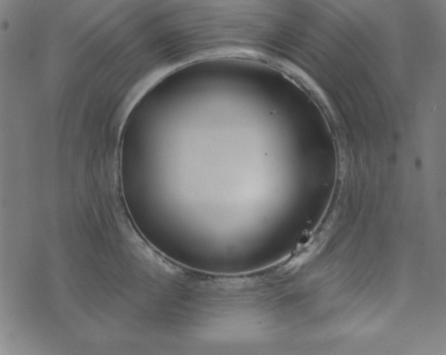 X0000073870860200608171006