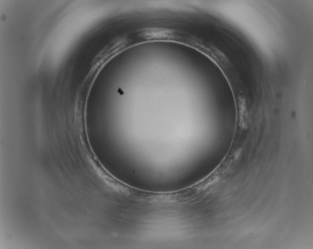 X0000073870861200608171006