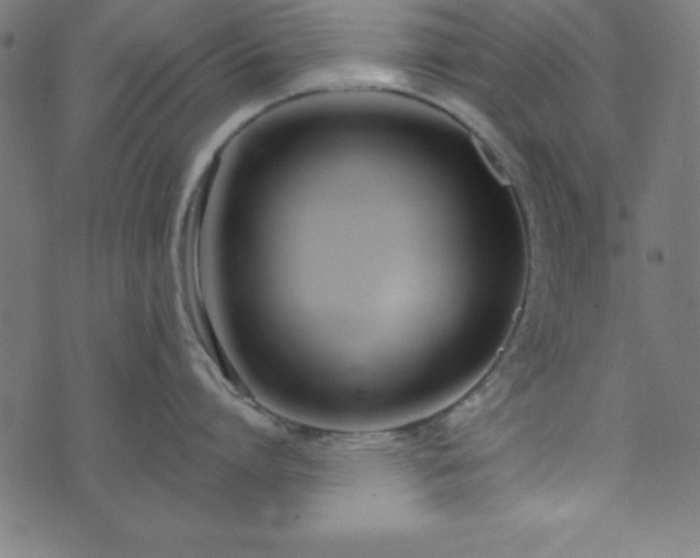 X0000073870864200608171006