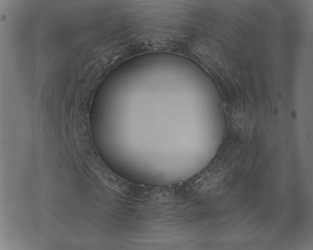 X0000073870865200608171005