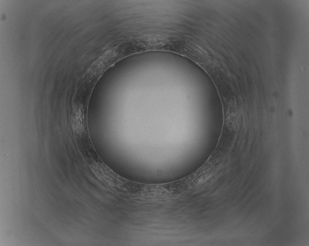 X0000073870866200608171005