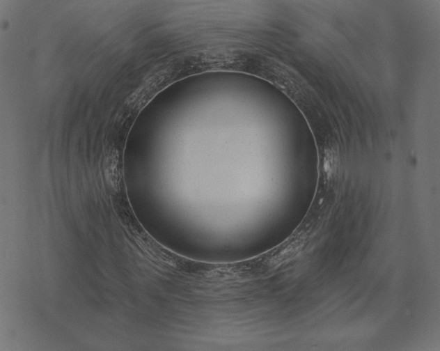 X0000073870867200608171005