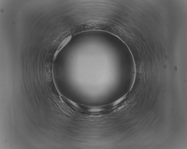 X0000073870868200608171005