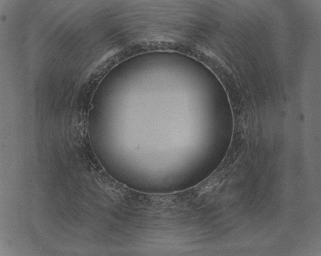 X0000073870870200608171005