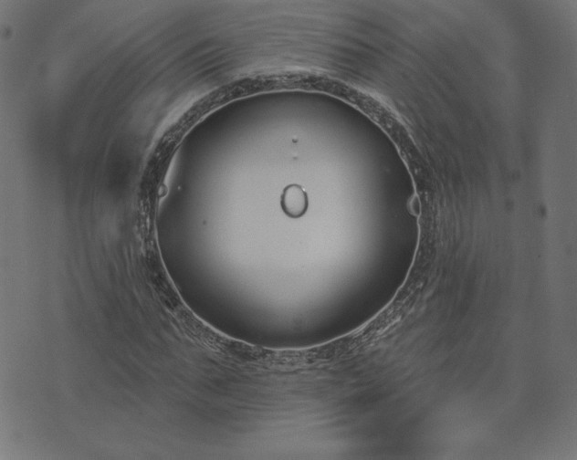 X0000073870871200608171005