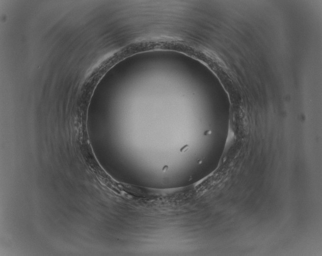 X0000073870872200608171005