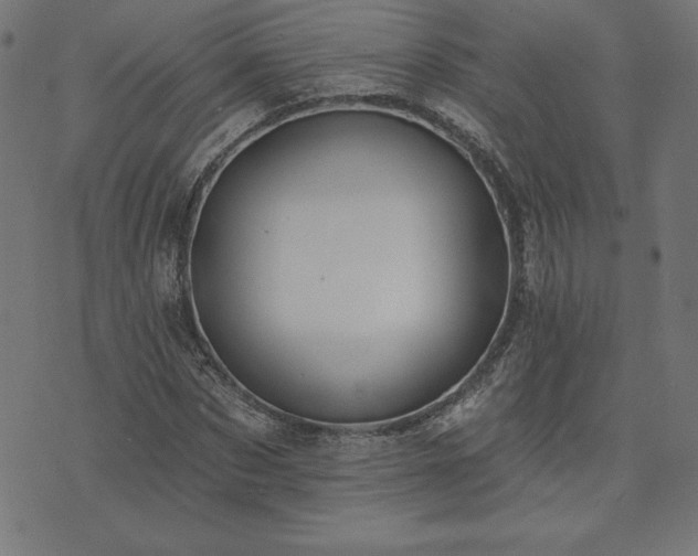 X0000073870873200608171005