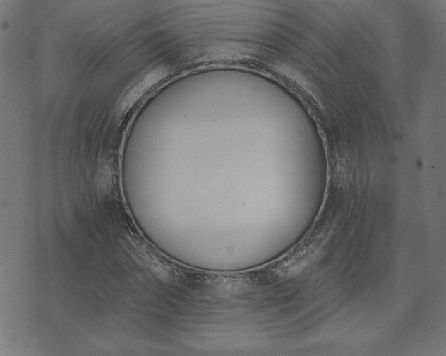 X0000073870874200608171005