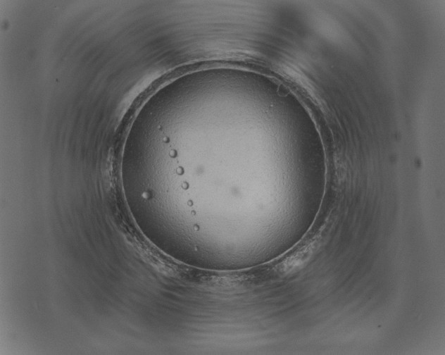 X0000073870875200608171005