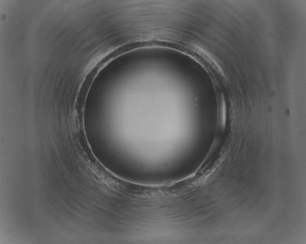 X0000073870876200608171005