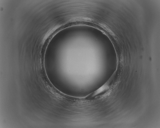 X0000073870877200608171005