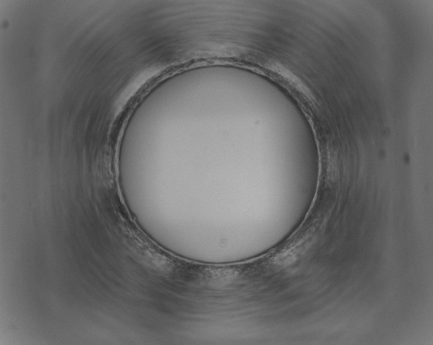 X0000073870878200608171005