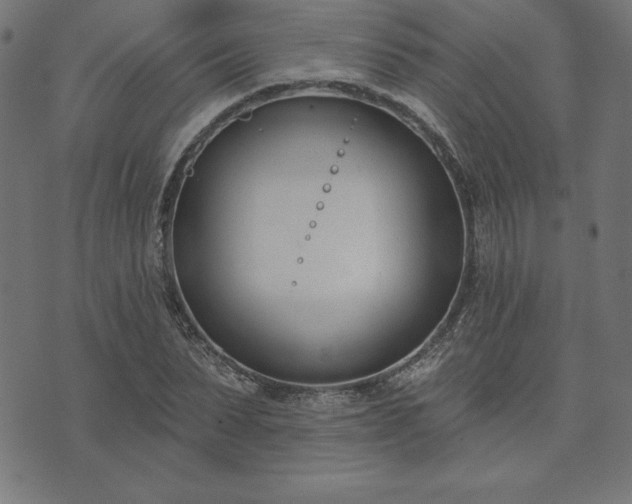 X0000073870879200608171005