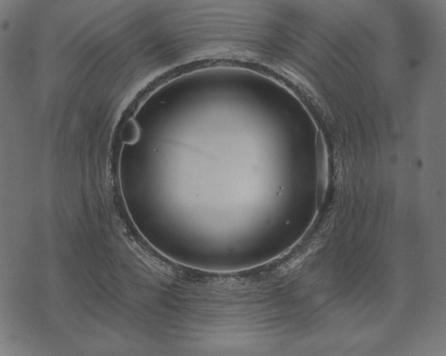 X0000073870880200608171005