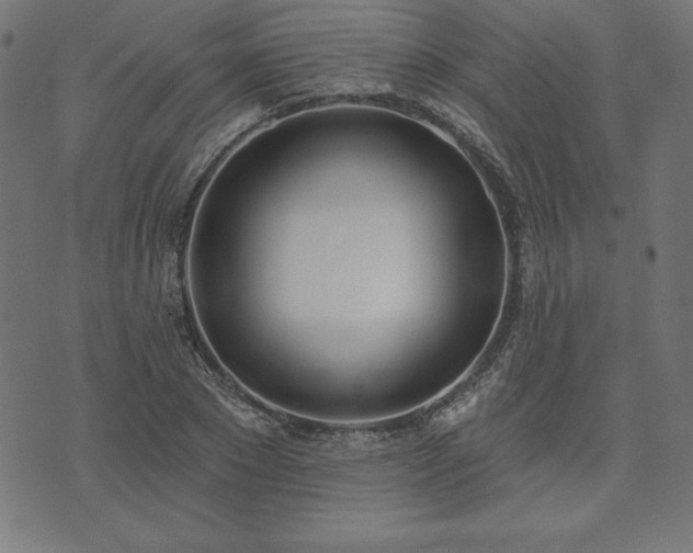 X0000073870881200608171005