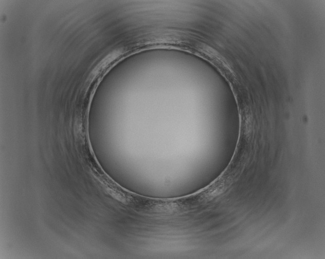 X0000073870882200608171005