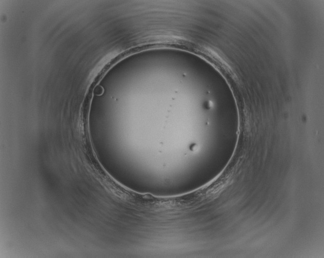 X0000073870883200608171005