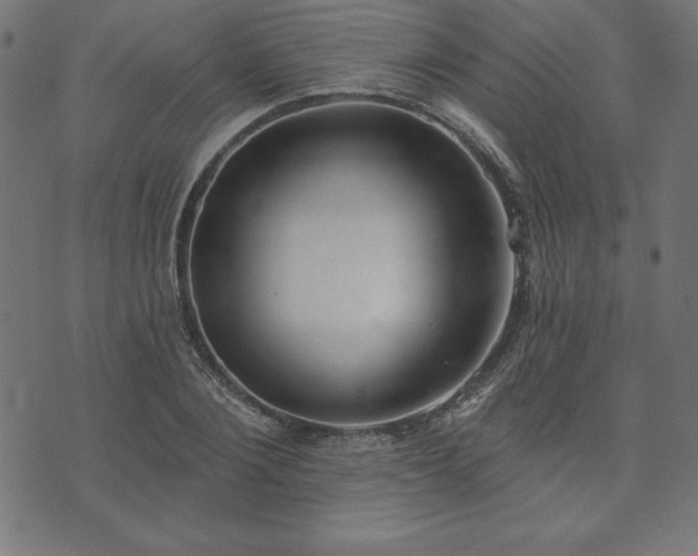 X0000073870884200608171005